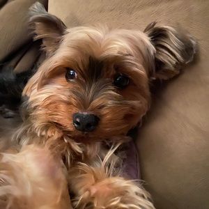 Meet your Posher, Winter